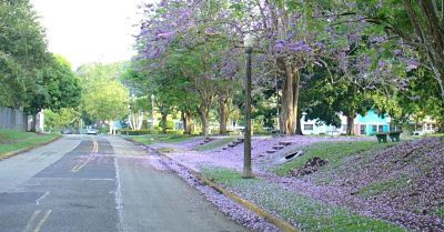 Gamboa Town Panama Canal